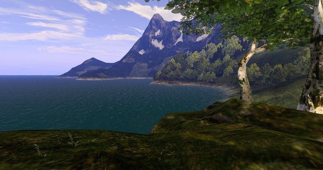 A bay under a snow-streaked mountain, birches leaning over the cliff edge.